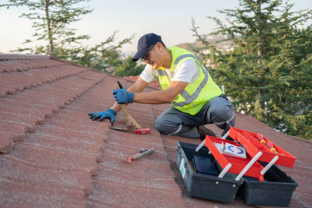 Best Storm Damage Roof Repair  in Shepherd, MI