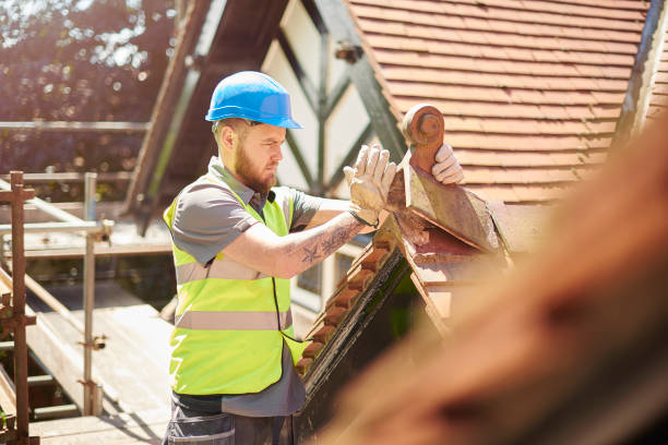 Best Roof Repair Services  in Shepherd, MI